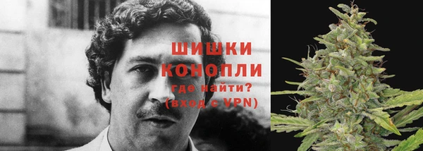 молекула духа Баксан
