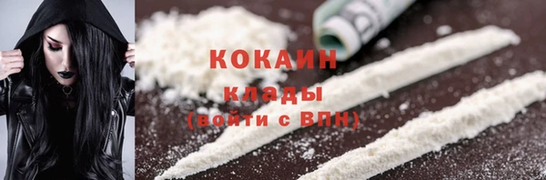 тгк Сатка