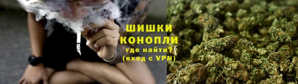 молекула духа Баксан