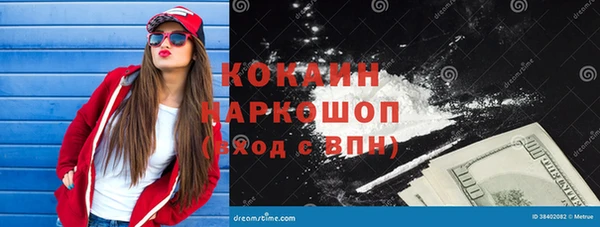индика Ростов